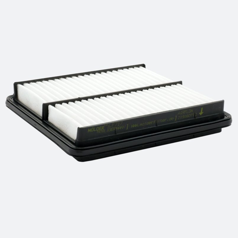 Фільтр повітряний Molder Filter LF 717 (WA6250, LX827, C2229)