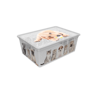 Контейнер Qutu Light Box Cats and Dogs, 10 л
