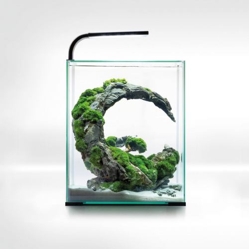 Акваріум Aquael Smart Day & Night для креветок, білий, 10 л