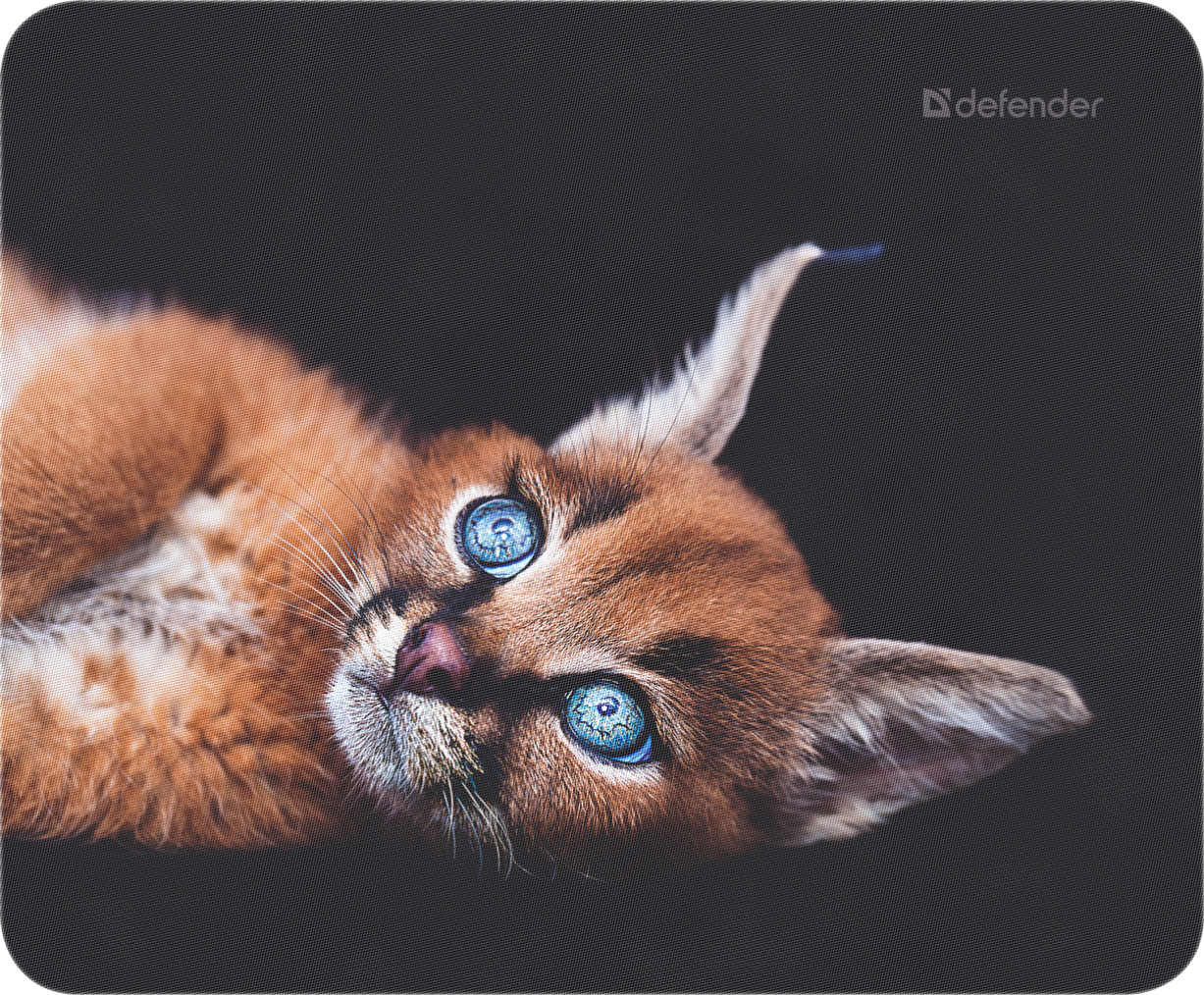 Килимок для миші Defender Wild (50803)